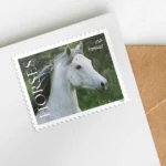 485204 Z1 - USPS Forever Stamps