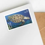 581304 Z1 - USPS Forever Stamps
