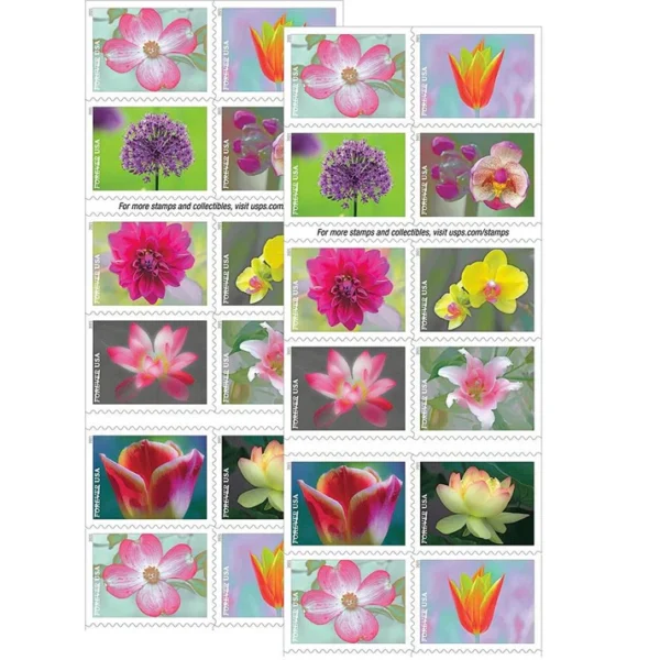 81NLJuXQg8L. AC SL1500 f02845ff 0950 498e 811c 4c78477926f6 - USPS Forever Stamps
