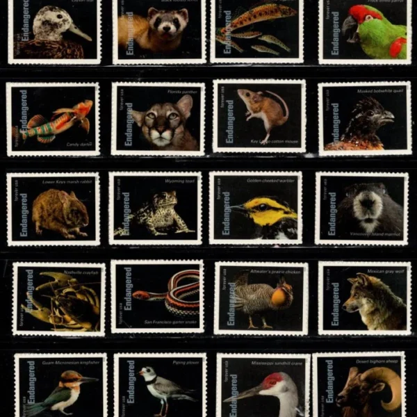Animal 24 1 - USPS Forever Stamps