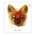 Red Fox 2023 2 - USPS Forever Stamps RedFox2023 - USPS Forever Stamps