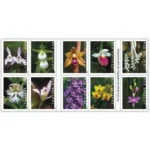 WildOrchids2020 - USPS Forever Stamps