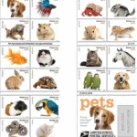 Pets Celebrate Animals 2016 2 - USPS Forever Stamps image 1 - USPS Forever Stamps