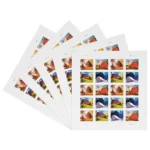 81WaKiYY4pL - USPS Forever Stamps