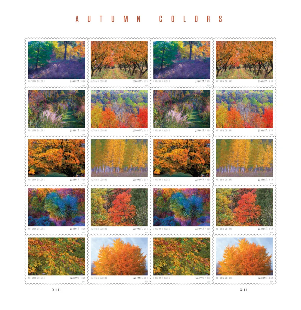 Autumn Colors 2024